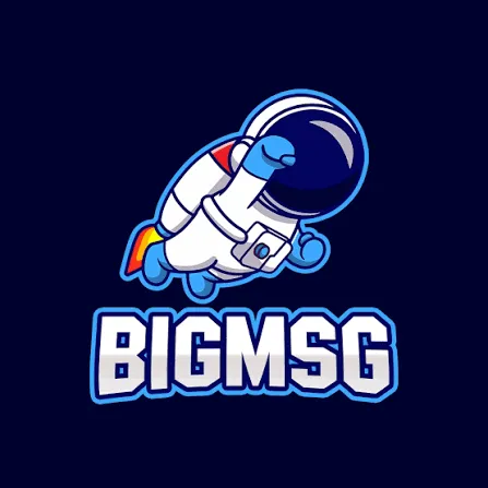 Review Aplikasi bigmsg
